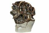 Polished Septarian Spiderweb Sculpture - Awesome Display #77909-2